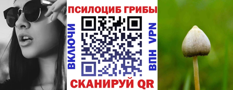 Псилоцибиновые грибы Psilocybine cubensis  цены наркотик  Бежецк 
